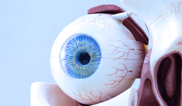 figura de ojo humano